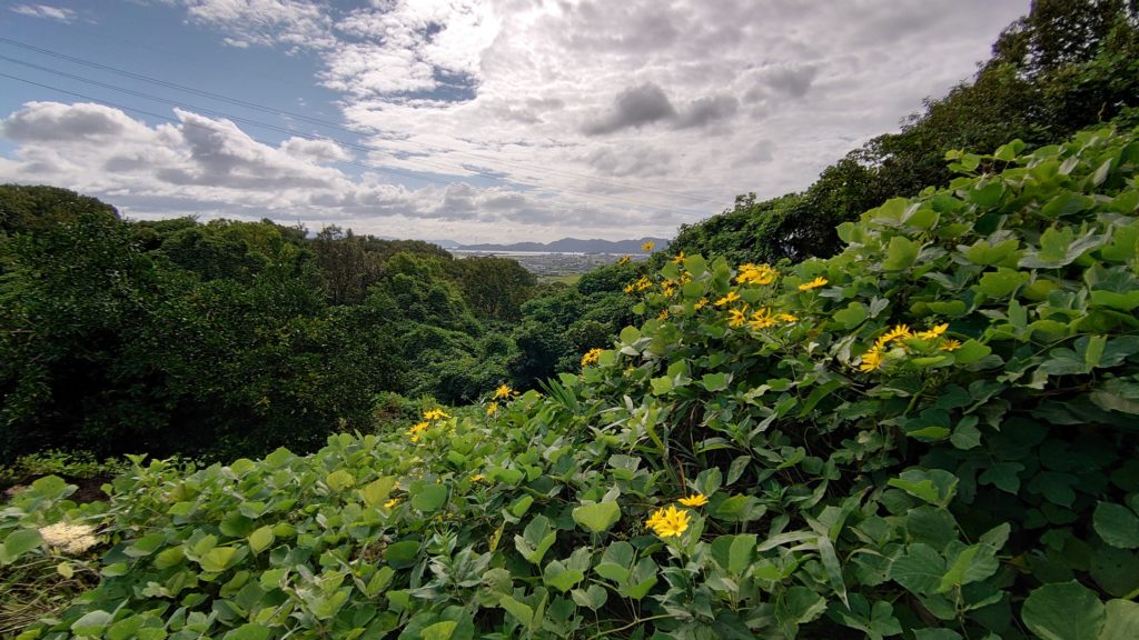 遊園地からの景色